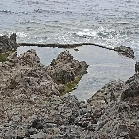 Oasis En Tenerife 3